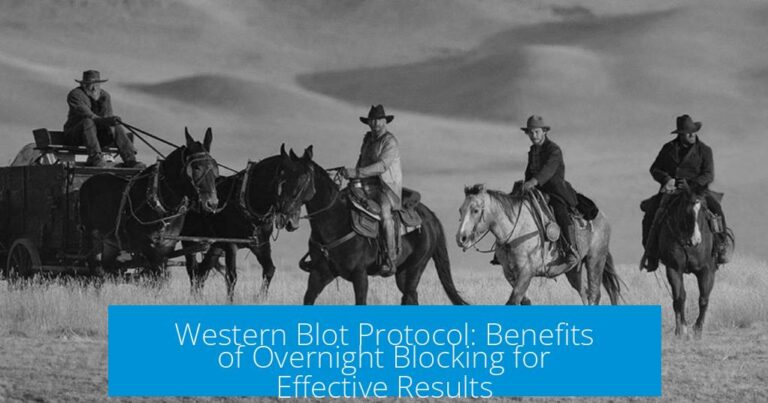 Western Blot Protocol: Benefits of Overnight Blocking for Effective Results