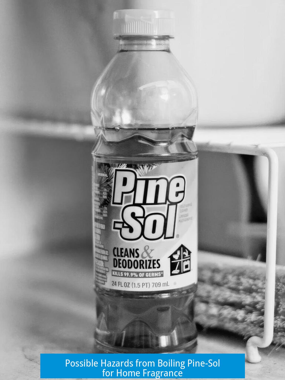 Possible Hazards from Boiling Pine-Sol for Home Fragrance