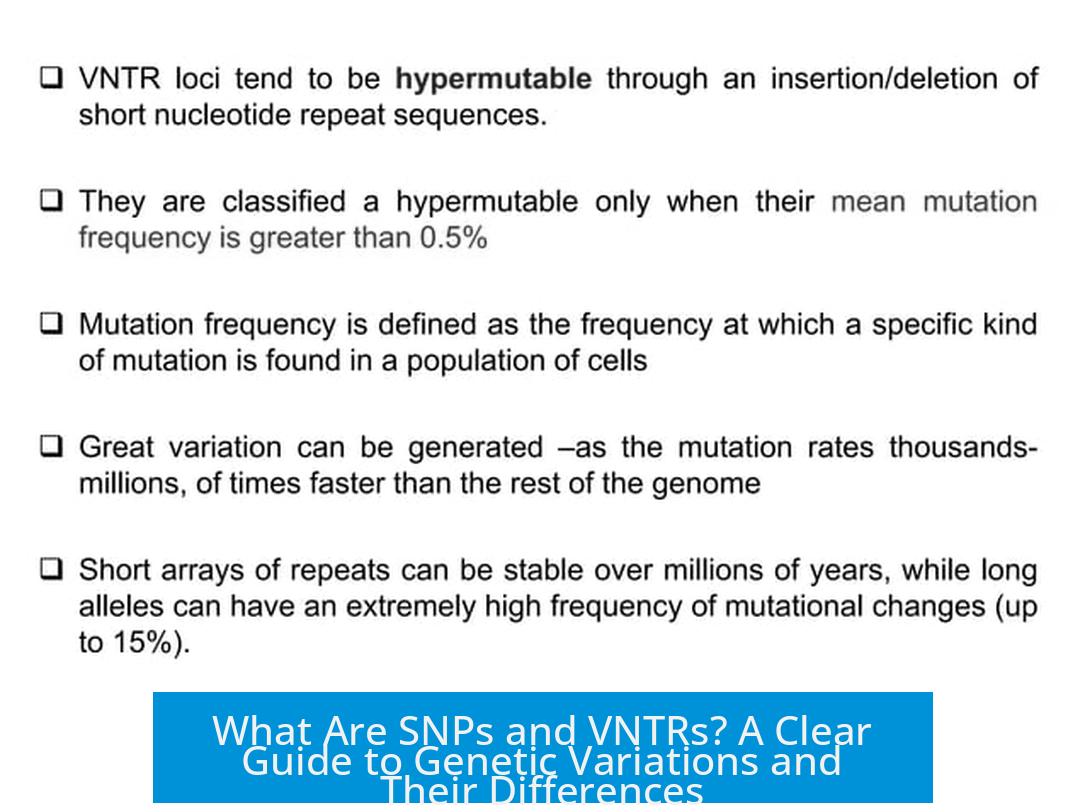 What Are SNPs and VNTRs? A Clear Guide to Genetic Variations and Their Differences
