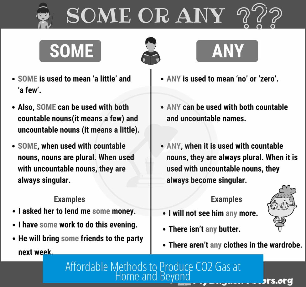 Affordable Methods to Produce CO2 Gas at Home and Beyond