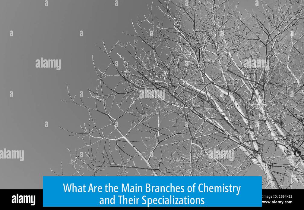 What Are the Main Branches of Chemistry and Their Specializations