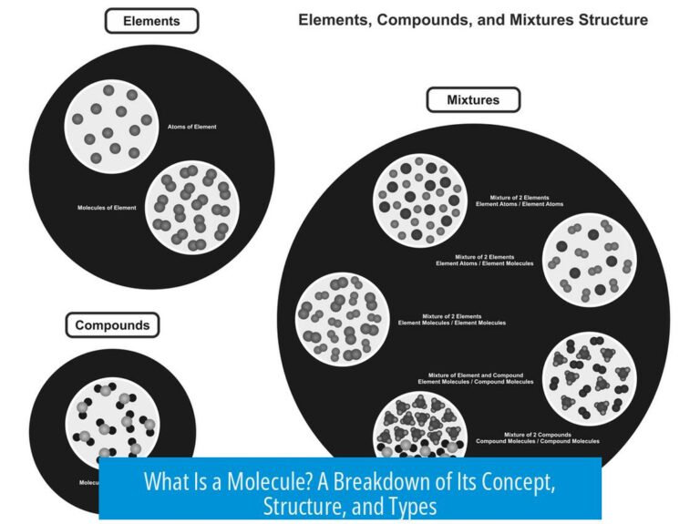 What Is a Molecule? A Breakdown of Its Concept, Structure, and Types