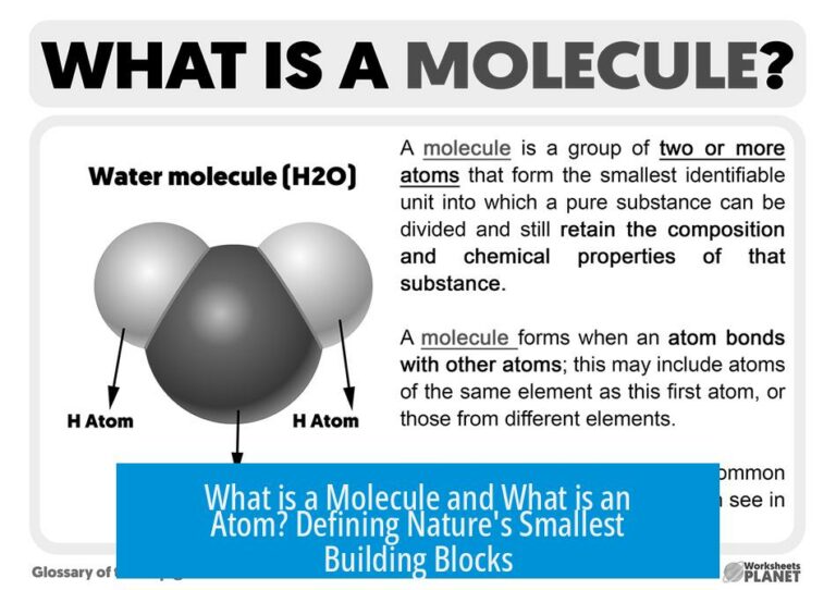 What is a Molecule and What is an Atom? Defining Nature's Smallest Building Blocks