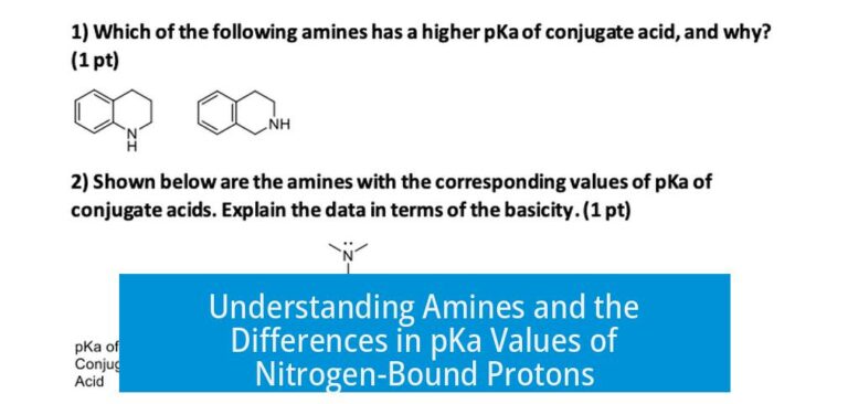 Understanding Amines and the Differences in pKa Values of Nitrogen-Bound Protons