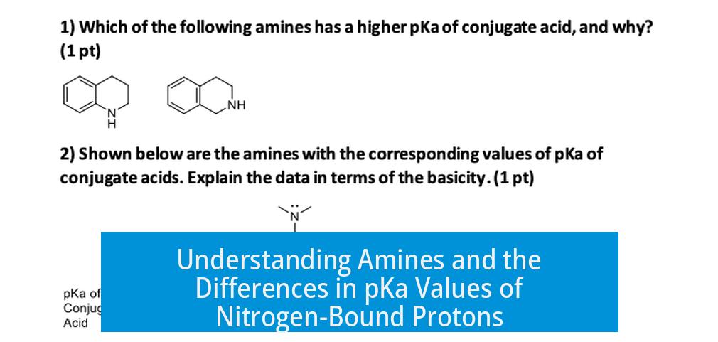 Understanding Amines and the Differences in pKa Values of Nitrogen-Bound Protons