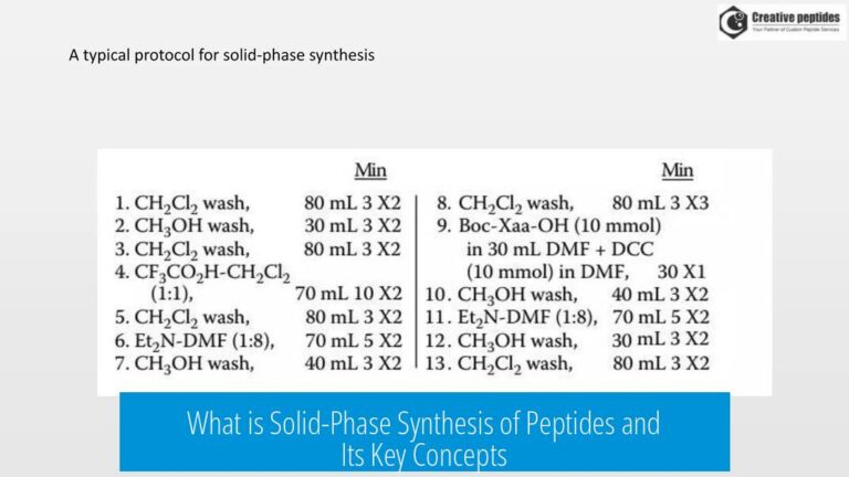 What is Solid-Phase Synthesis of Peptides and Its Key Concepts