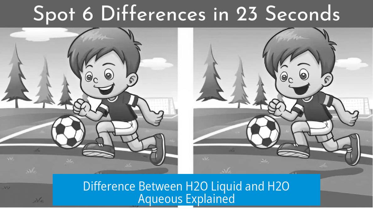 Difference Between H2O Liquid and H2O Aqueous Explained