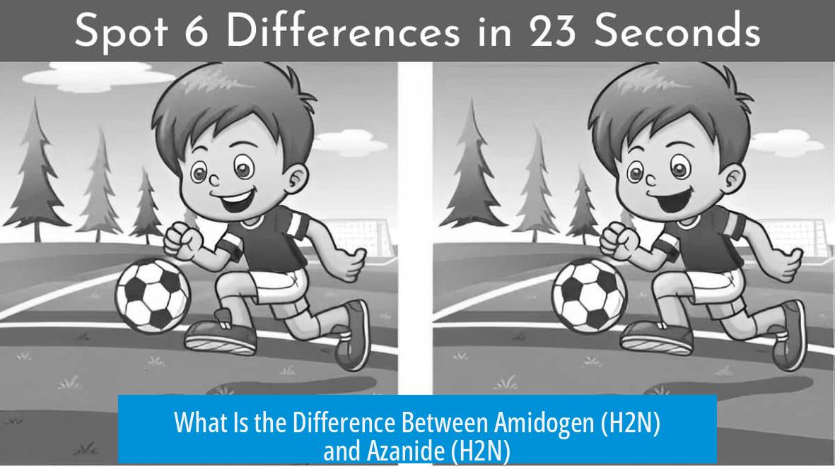 What Is the Difference Between Amidogen (H2N) and Azanide (H2N)