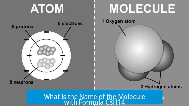 What Is the Name of the Molecule with Formula C8H14