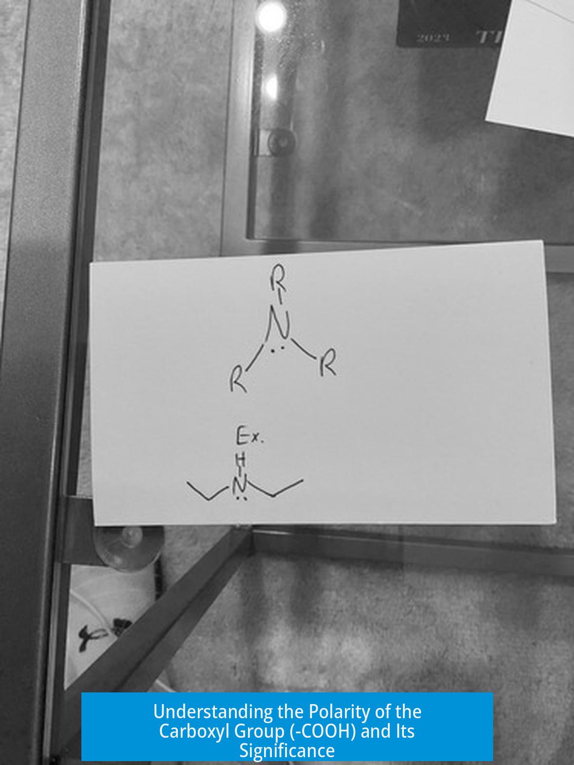 Understanding the Polarity of the Carboxyl Group (-COOH) and Its Significance
