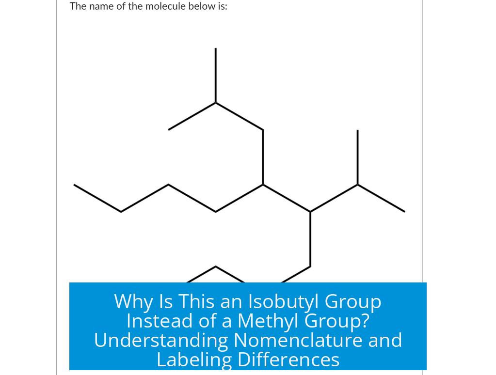 Why Is This an Isobutyl Group Instead of a Methyl Group? Understanding Nomenclature and Labeling Differences
