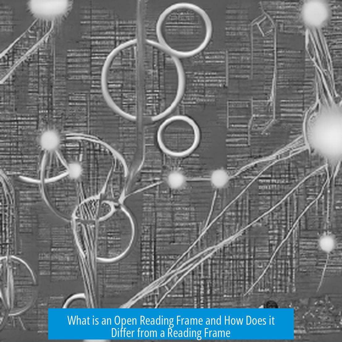 What is an Open Reading Frame and How Does it Differ from a Reading Frame