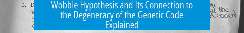Wobble Hypothesis and Its Connection to the Degeneracy of the Genetic Code Explained