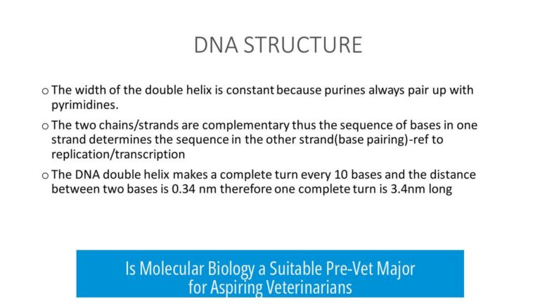 Is Molecular Biology a Suitable Pre-Vet Major for Aspiring Veterinarians