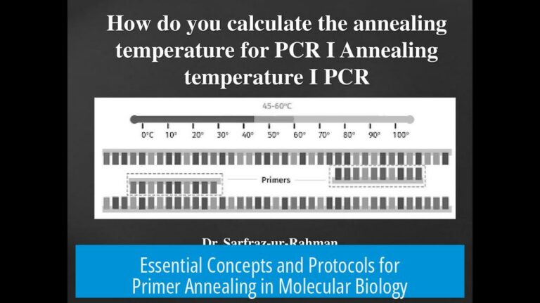 Essential Concepts and Protocols for Primer Annealing in Molecular Biology