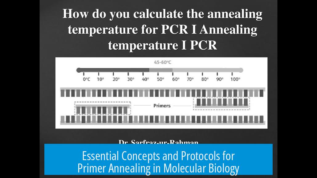 Essential Concepts and Protocols for Primer Annealing in Molecular Biology