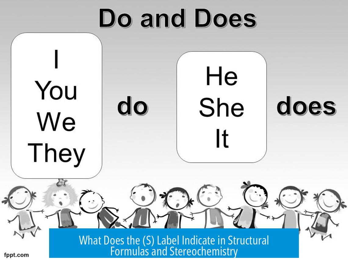What Does the (S) Label Indicate in Structural Formulas and Stereochemistry