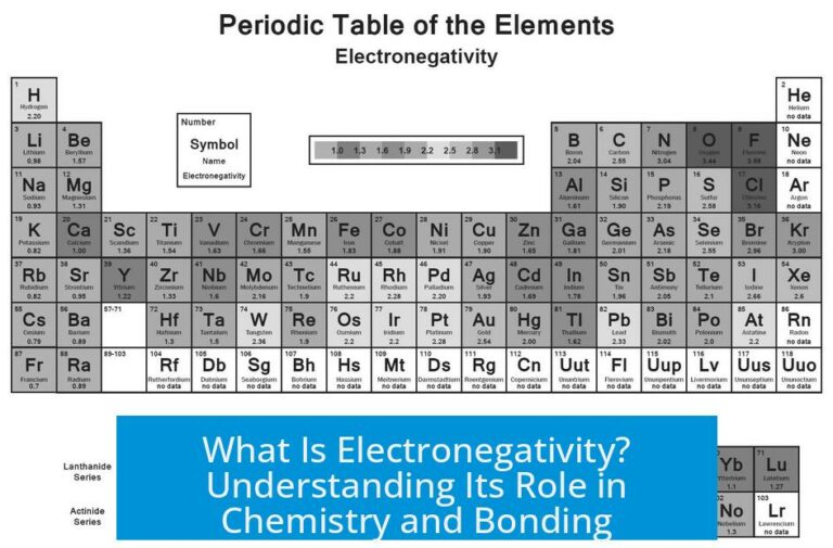 What Is Electronegativity? Understanding Its Role in Chemistry and Bonding