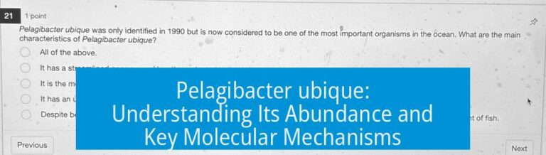 Pelagibacter ubique: Understanding Its Abundance and Key Molecular Mechanisms