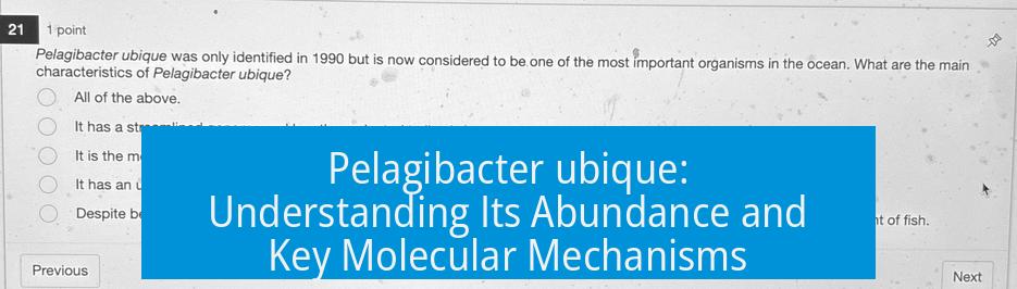Pelagibacter ubique: Understanding Its Abundance and Key Molecular Mechanisms