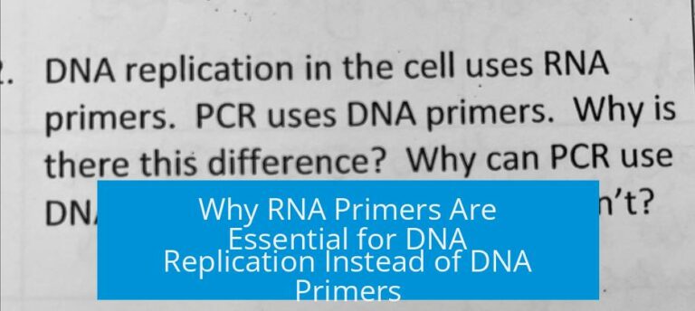 Why RNA Primers Are Essential for DNA Replication Instead of DNA Primers